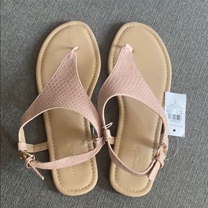 NWT Ann Taylor sandals